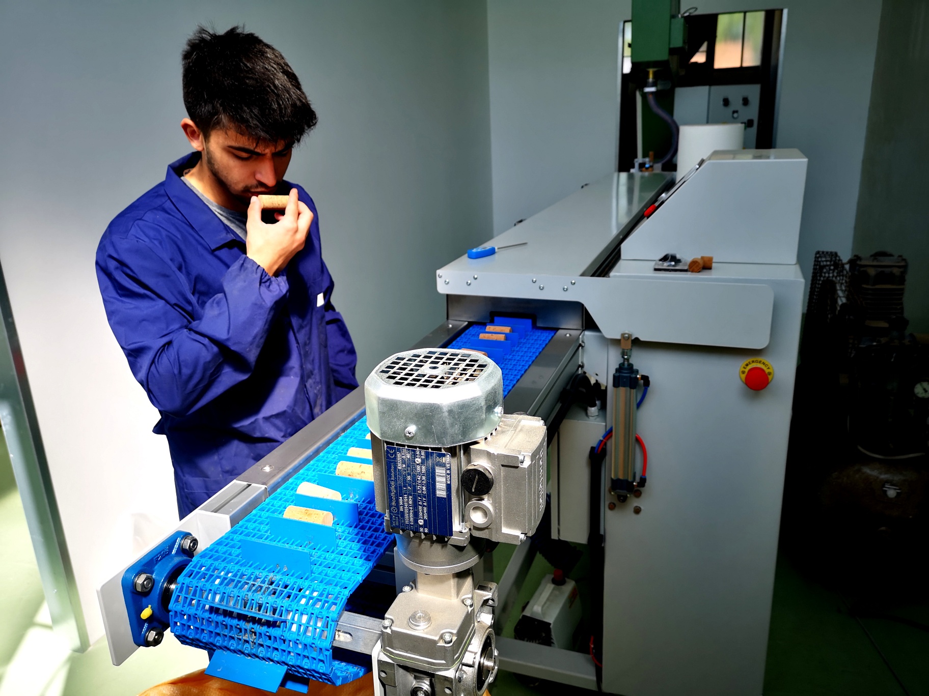 Lavorazione del sughero Company Cork